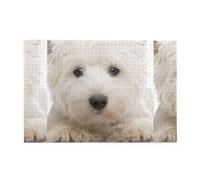 Lindo Cachorro Westie, Rompecabezas de 1000 Piezas, Rompecabezas de Madera para Toda la Familia, decoración de Pared para Adultos y Adolescentes.