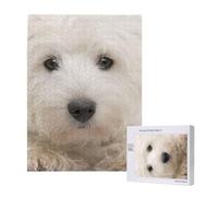 Lindo Cachorro Westie,Rompecabezas de Madera de 500 Piezas para Adultos y Adolescentes.