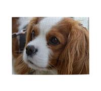 Lindo Cavalier King Charles Spaniel (500 Piezas) - Rompecabezas de Madera para Adultos Mayores