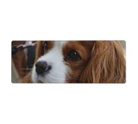 Lindo Cavalier King Charles Spaniel,Alfombrilla de ratón Grande para Escritorio, Teclado de Ordenador, Base de Goma Antideslizante, 30 x 80 cm