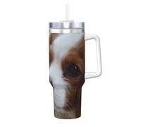 Lindo Cavalier King Charles Spaniel,Botella de agua de acero inoxidable con asa para bebidas frías y calientes de 40 oz.