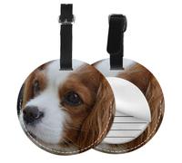 Lindo Cavalier King Charles Spaniel,Etiquetas de equipaje de cuero sintético con nombre, etiquetas de viaje duraderas, 2 unidades