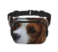 Lindo Cavalier King Charles Spaniel,Riñonera Cuadrada de Doble Capa, Bolso de Viaje, Bolso Informal para el Pecho.