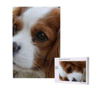 Lindo Cavalier King Charles Spaniel,Rompecabezas de Madera de 1000 Piezas para Adultos y Adolescentes.