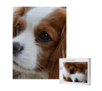 Lindo Cavalier King Charles Spaniel,Rompecabezas de Madera de 500 Piezas para Adultos y Adolescentes.