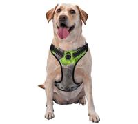 Lindo Conejo Liebre Gris,Arnés para Mascotas, arnés Reflectante Ajustable para Perros,XL
