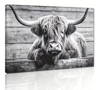 Lindo cuadro de vaca de las Tierras Altas para pared, imágenes de vacas peludas en blanco y negro en un pastizal, impresiones en lienzo sobre fondo de panel de madera vintage (70x100cm/marco interno)