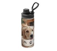 Lindo cuenco de hueso de perro Woof Paw Print 18 onzas, hervidor deportivo portátil reutilizable con tapa, acero inoxidable con asa