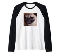Lindo Divertido Perro Pug Sonrisa Escalofriante Meme Borroso Camiseta Manga Raglan