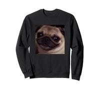 Lindo Divertido Perro Pug Sonrisa Escalofriante Meme Borroso Sudadera