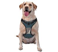 Lindo Erizo pequeño,Arnés para Mascotas, arnés Reflectante Ajustable para Perros,XL