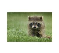 Lindo Estampado de Mapache a la Moda, Rompecabezas de 1000 Piezas, Rompecabezas de Madera para Toda la Familia, decoración de Pared para Adultos y Adolescentes.