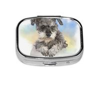 Lindo estampado Mini Schnauzer, Pastillero cuadrado para bolsillo o monedero, pequeño contenedor de pastillas, organizador de pastillas de viaje