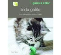 Lindo Gatito: La Via Mas Segura Para Socializar A Tu Gato