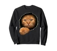 Lindo Gato atigrado Naranja Ojos Dorados Mirando a través de Sudadera