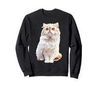 Lindo Gato Persa Esponjoso Mirando hacia Arriba Amante felino Sudadera