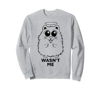 Lindo hámster divertido ángel inocente en problemas - No era yo Sudadera