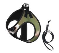 Lindo juego de arnés para perro con estampado de mapache con correa con chaleco acolchado grueso para perros extra pequeños/pequeños y medianos