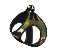 Lindo juego de correa de arnés con estampado de mapache para gato y perro, chaleco reflectante ajustable a prueba de fugas con malla suave transpirable, para mascotas pequeñas y cachorros gatitos