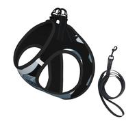 Lindo juego de correa de arnés con estampado de mapache para gatos y perros, reflectante ajustable, chaleco de malla suave transpirable con correa a prueba de escapes, para mascotas pequeñas y