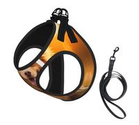 Lindo juego de correa reflectante ajustable con estampado de cachorro para gatos, perros y mascotas pequeñas, chaleco de malla suave transpirable con correa a prueba de fugas