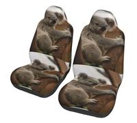 Lindo Koala en el árbol,Funda para Asiento de Coche Protectores para Asientos Delanteros de Coche, 2 Unidades