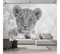 Lindo León Cachorro Papel Pintado Panorámico Pastizal 400 x 280cm Fotomurales Seda, Murales Decoración de Pared Póster de Pared 3D Para Salón, Dormitorio, Estudio