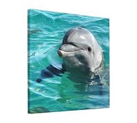 Lindo lienzo impreso de delfín, pinturas sin marco, cuadros modernos de pared para sala de estar, dormitorio, decoración del hogar, 12 x 12 pulgadas