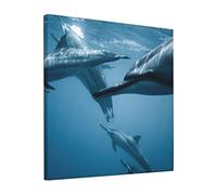 Lindo lienzo impreso de delfín, pinturas sin marco, cuadros modernos de pared para sala de estar, dormitorio, decoración del hogar, 12 x 12 pulgadas