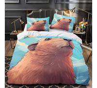 Lindo mapache Funda de Edredón Cierre de Cremallera Oculta de poliéster Juego de 3 Piezas Diseño 3D incluye Fundas de Almohada Suave acuarela Animal Funda Edredon for Adultos Double（200x200cm）