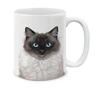Lindo Muñeco De Lobo De Mar Point Cat Tazas Cerámica Taza Porcelana Taza De Café 330Ml Para Oficina Zumo Leche
