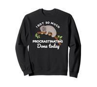 Lindo Perezoso Tengo Tanto procrastinación Hecho Hoy Sudadera