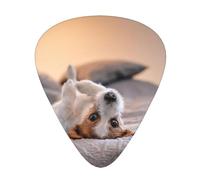 Lindo perrito Jack Russell Terrier,12 púas de guitarra, 3 grosores diferentes para guitarra acústica, bajo y ukelele