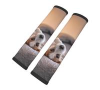 Lindo perrito Jack Russell Terrier, Almohadillas para cinturón de seguridad de coche, paquete de 2 almohadillas para arnés, funda multifuncional para cinturón de seguridad