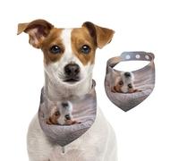 Lindo Perrito Jack Russell Terrier,Pañuelos de algodón para Perros, Bufandas Ajustables para Mascotas,L