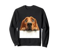 Lindo Perro de Ojos Anchos, Perrito Que mira canino Sudadera