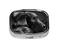 Lindo perro labrador negro, pastillero con 2 compartimentos, organizador portátil