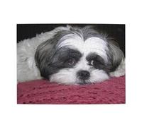 Lindo Perro Shih Tzu (2) Rompecabezas de 500 Piezas para Adultos - Rompecabezas de Madera para Adultos Mayores
