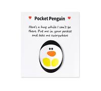Lindo pingüino de bolsillo abrazo, regalos para nieta, nieto, regalos de cumpleaños para adolescentes, niñas, niños, mejor amigo, Get Well Soon, tarjeta de felicitación para mejores amigos, regalos de