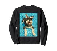 Lindo Schnauzer con Gafas de Sol Cool Dog Swimming Summer Vibes Sudadera