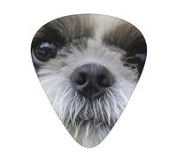 Lindo Shih Tzu,12 púas de guitarra, 3 grosores diferentes para guitarra acústica, bajo y ukelele