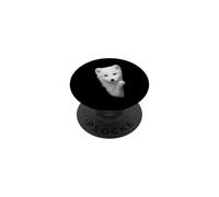 Lindo Zorro Blanco Mirando Ojos Verdes Nieve Fox PopSockets PopGrip Adhesivo
