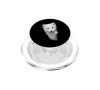 Lindo Zorro Blanco Mirando Ojos Verdes Nieve Fox PopSockets PopGrip para MagSafe