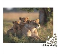 Lindos Cachorros de león Jugando y retozando a lomos de su Leona,Rompecabezas para Adultos 1000pcs (75x50cm),Juegos De Desafío De