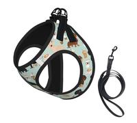 Lindos Perros Salchicha de Menta y café,Arnés para Mascotas, arnés Reflectante Ajustable para Perros,M