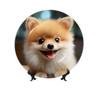 Lindos platos decorativos de cerámica de Pomerania, plato decorativo de porcelana china con soporte de exhibición, adorno de cerámica hecho a mano, plato de porcelana con personalidad, para el hogar