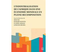 L'industrialisation de l'Afrique dans une économie mondiale en pleine recomposition