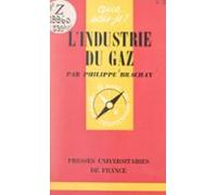 Lindustrie Du Gaz (ebook)