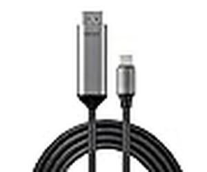 Lindy 2m bi-directional usb type c