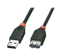 Lindy 31853 - Cable de extensión USB 2.0 Tipo A macho a Tipo A hembra - 0,2m, color negro